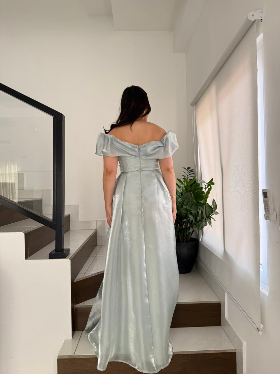 Organza Maxi Dress
