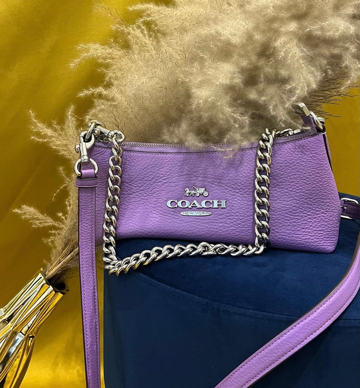 Coach Lila Bag