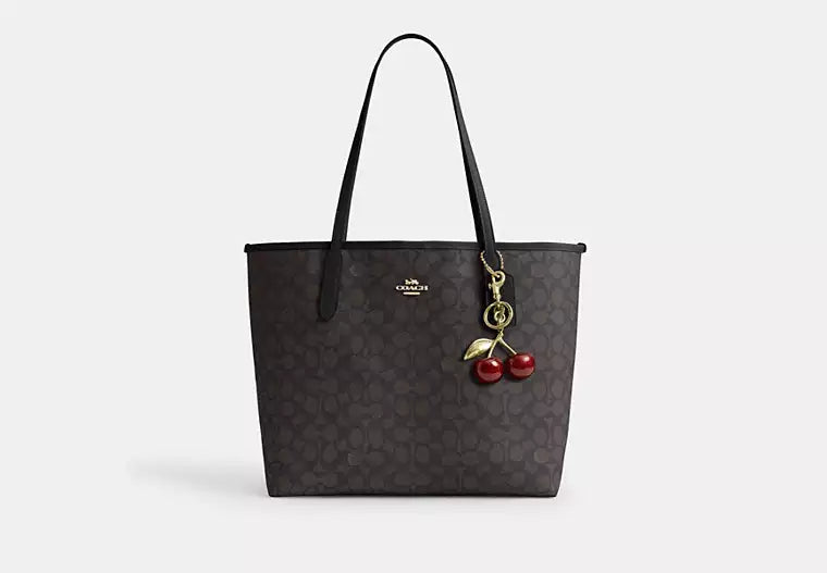 Coach Signature Bag
